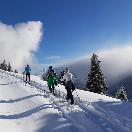 菲林费希特海姆公寓 公寓