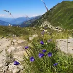 Fichtenheim Lägenhet