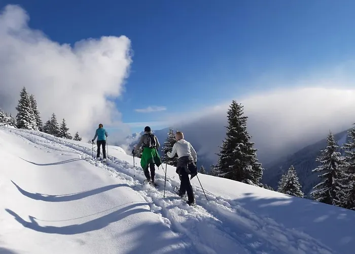 菲林费希特海姆公寓 公寓