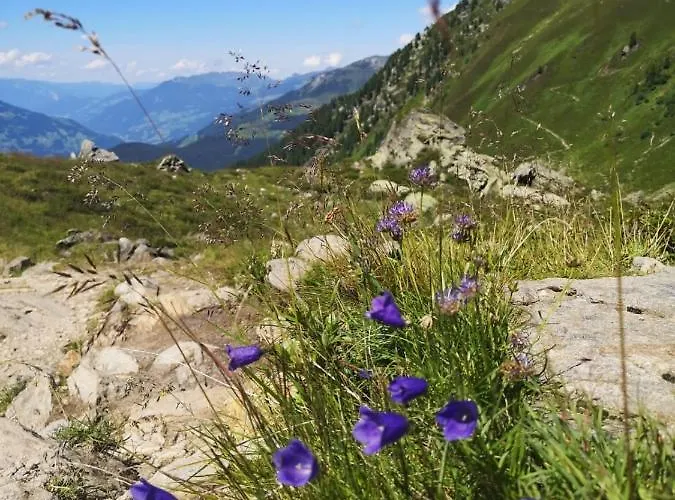 菲林费希特海姆公寓 公寓