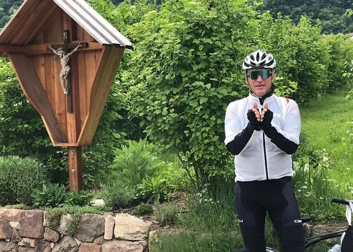 菲林费希特海姆公寓 公寓